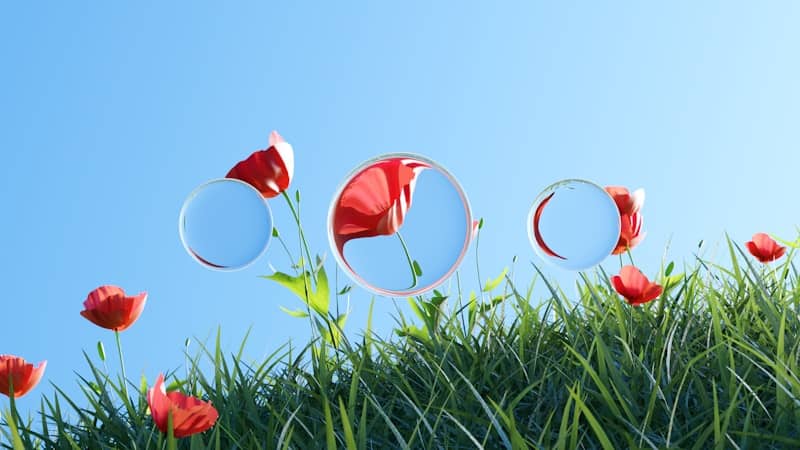 Flowers and reflections bloom on a sunny day.