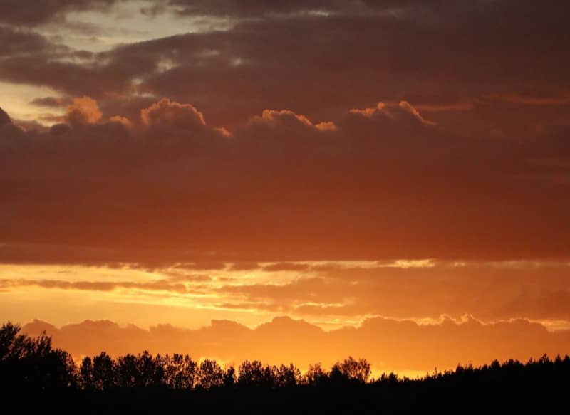 Low sun glowing behind dark clouds above a silhouetted forest line