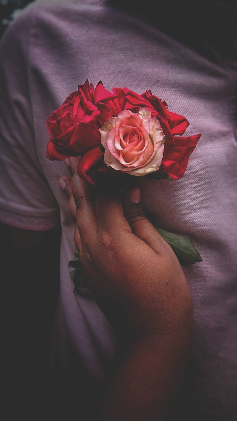 A hand holding a bouquet of roses against a pink shirt
