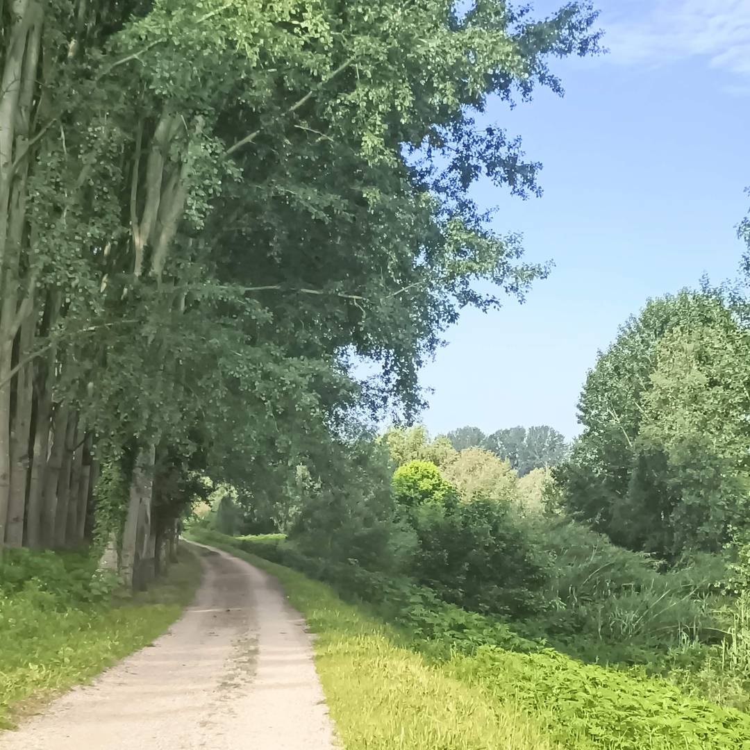 path along the Serchio river