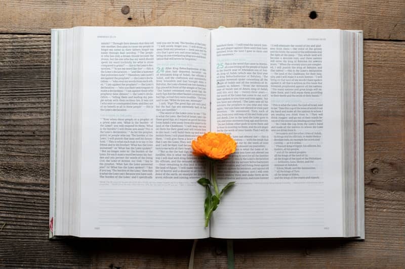 Open book with an orange flower in the middle.