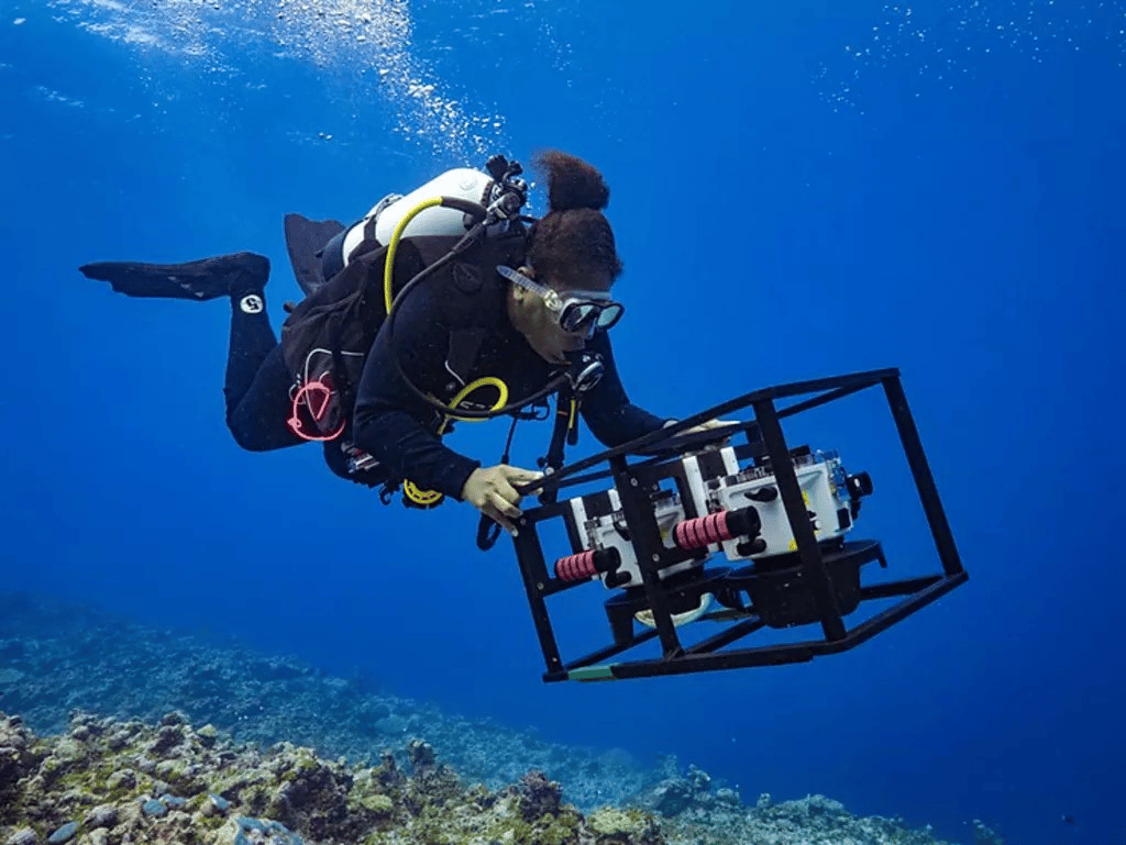 Nine-week expedition surveyed 270 sites across all 13 provinces, documenting nearly 500 fish species and revealing decline in reef systems exposed to overfishing and pollution.