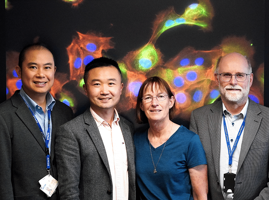 Otago researchers combine AI and nanotechnology to catch oral cancer at its earliest stages.