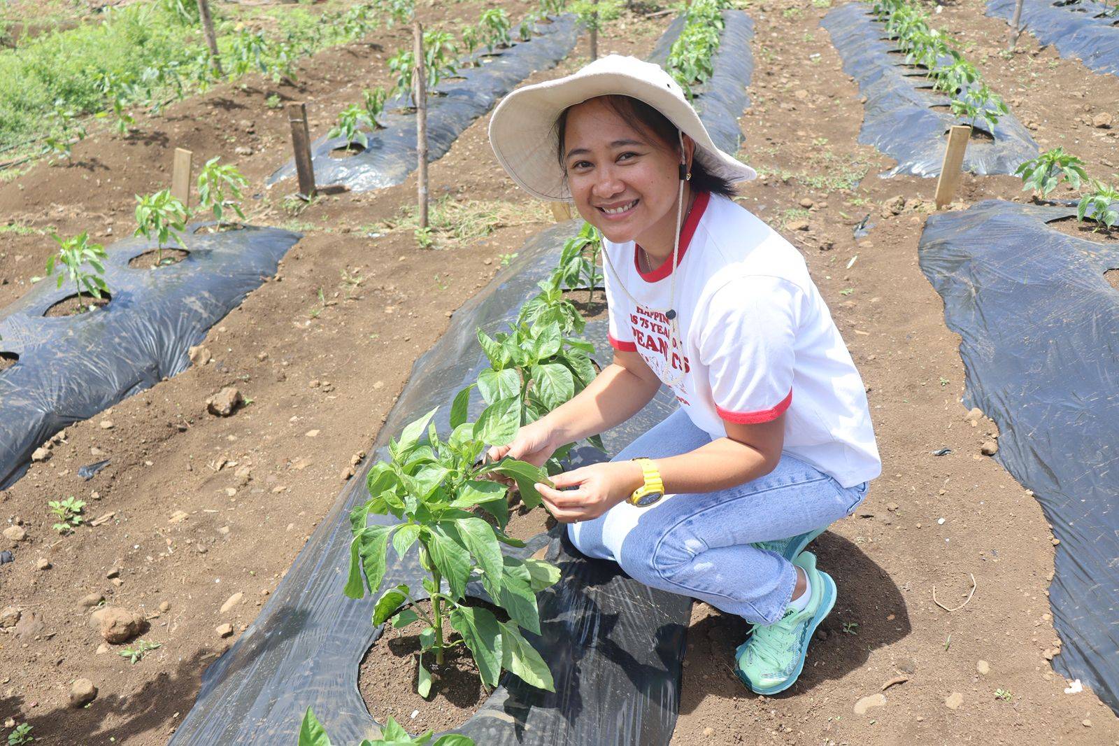 Study addresses limited availability of quality local planting materials that have hindered production and driven import dependence.