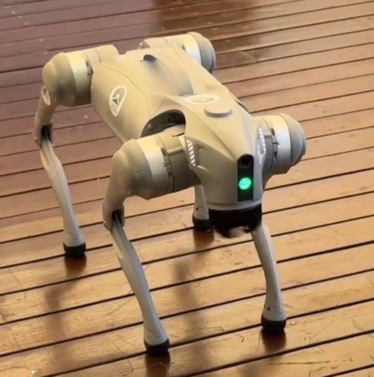 Huawei's AI-powered robot dog 'PITA' wowed delegates at the 2025 PITA AGM in Honiara, showcasing its real-world uses in security, inspections, disaster response, and public engagement.