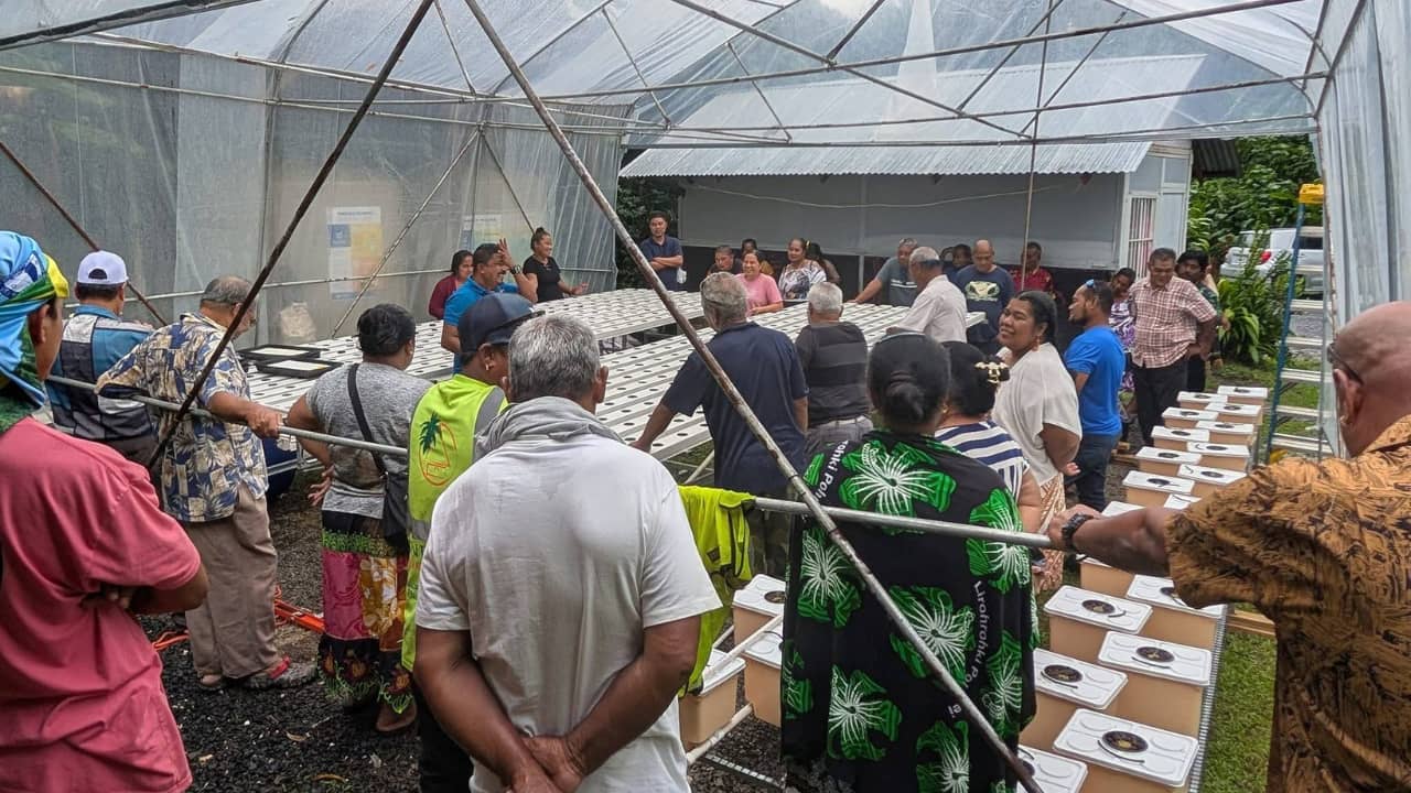 Technology-driven agriculture systems now operating across more than 30 schools and 10 outer islands, addressing food security gaps in Pacific region.