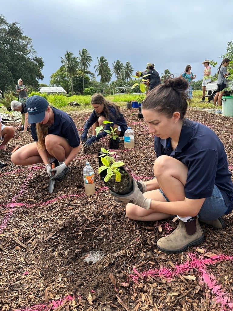University of Newcastle students join local efforts by planting native trees for the Cook Islands’ first Tiny Forest above Parengaru Stream, aiming to restore stream health and boost biodiversity.