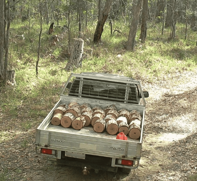 Security camera footage showing a utility vehicle (ute) loaded with logs and timber taken illegally from a Queensland national park, demonstrating the type of environmental crime that authorities are cracking down on with substantial financial penalties and increased surveillance.