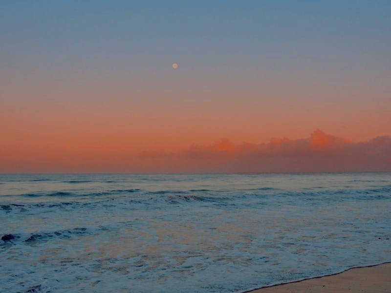 Breaking waves on the ocean shore