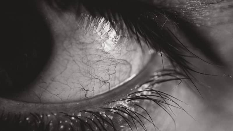 Human eye in black and white with visible veins.