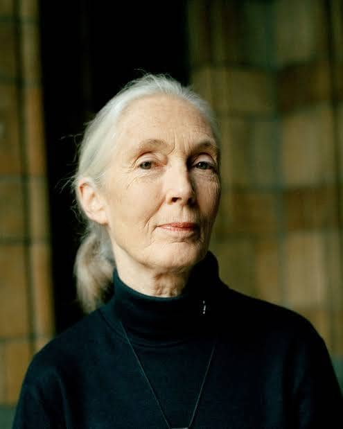 Jane Goodall