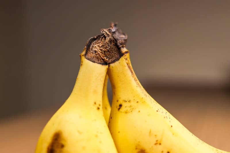 ? Even decaf coffee improves your brain health ? To a point ? Winning food synergies with bananas ? My favourites | Newsletter | Walter Adamson @bodyagebuster