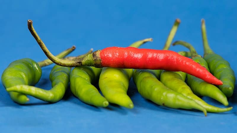 ? Amazingly eggs and peppers taken together combats belly fat! ? Prying goblet squats to lower back pain and compensate for sitting | Newsletter | Walter Adamson @bodyagebuster