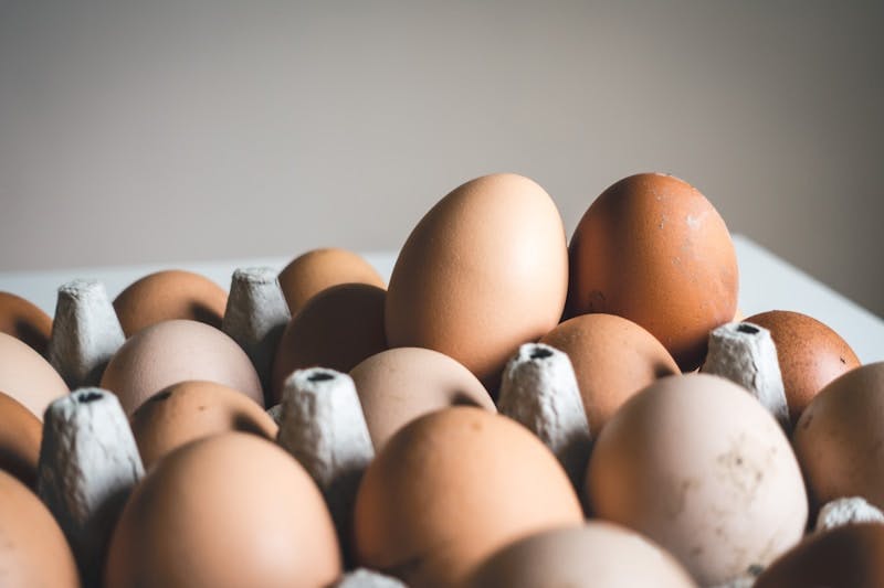 ? Eggs are back in fashion ? now found to delay dementia  | Newsletter | Walter Adamson @bodyagebuster