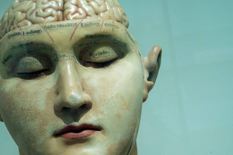  It's time to counter-steer your exercise ? Training your brain as important as your muscles - here's why | Newsletter | Walter Adamson @bodyagebuster