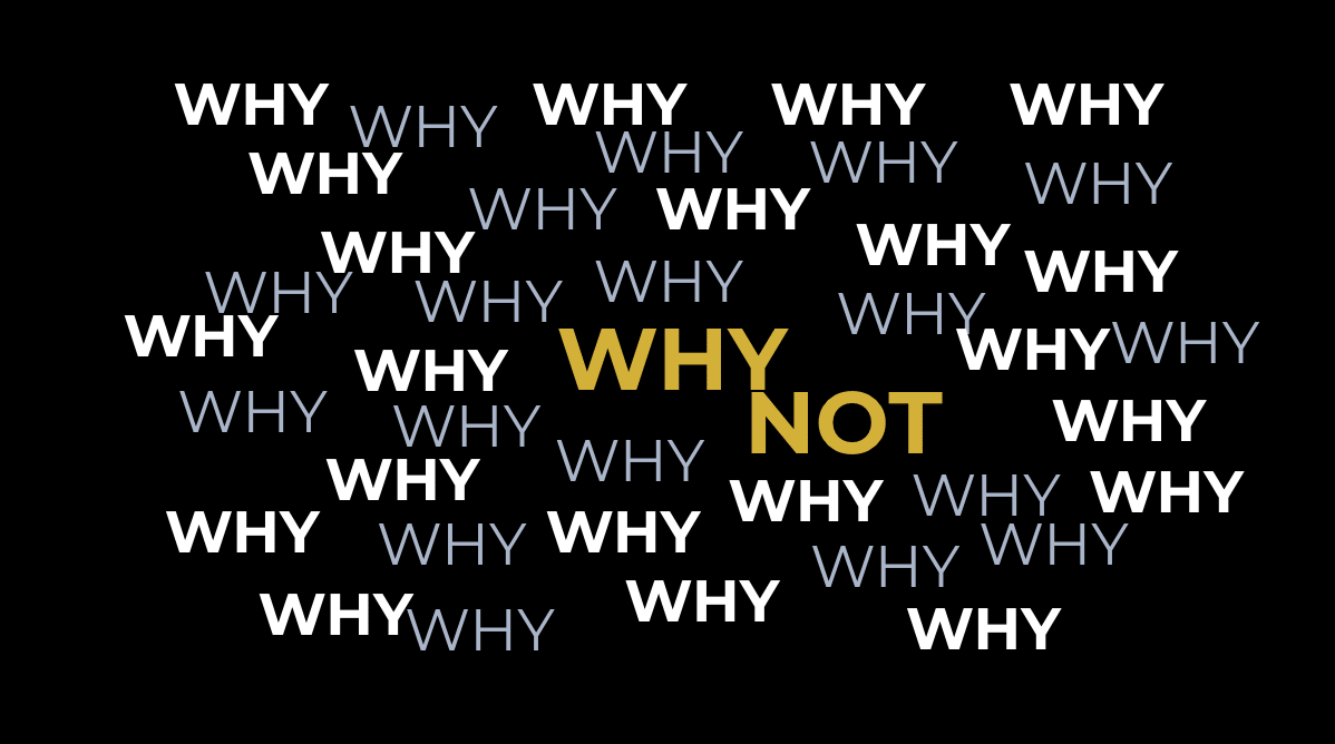 How I got the job and achieved an impossible possibility of working for Martha Stewart Living