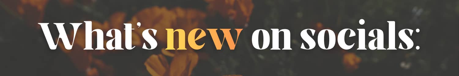 Header that reads, "What's new on socials:"