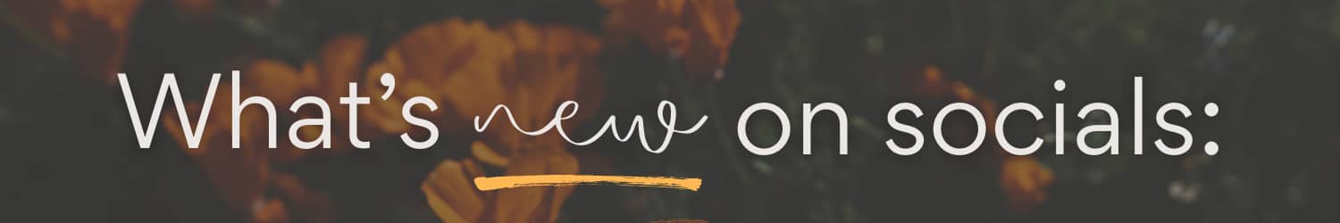 Header that reads "What's new on socials:"