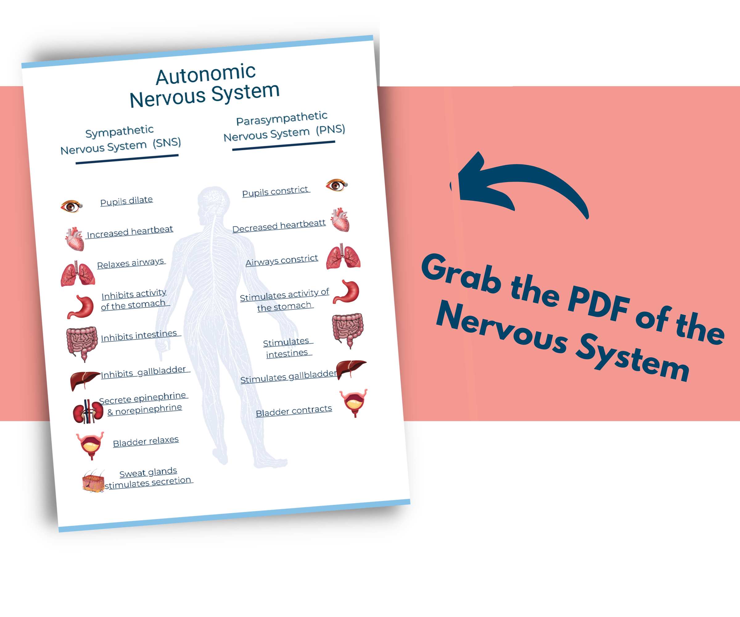 Techniques de relaxation - Neuromedia