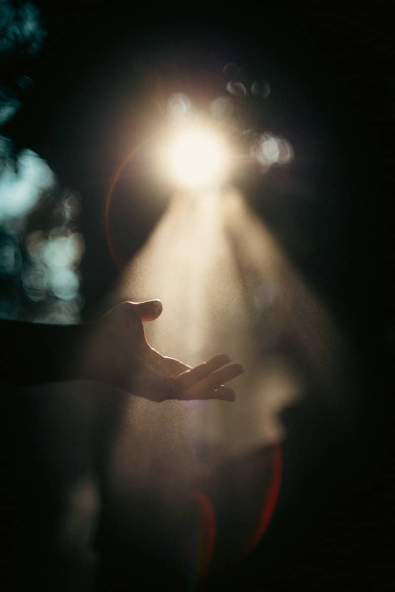 Hand reaching toward a beam of sunlight.