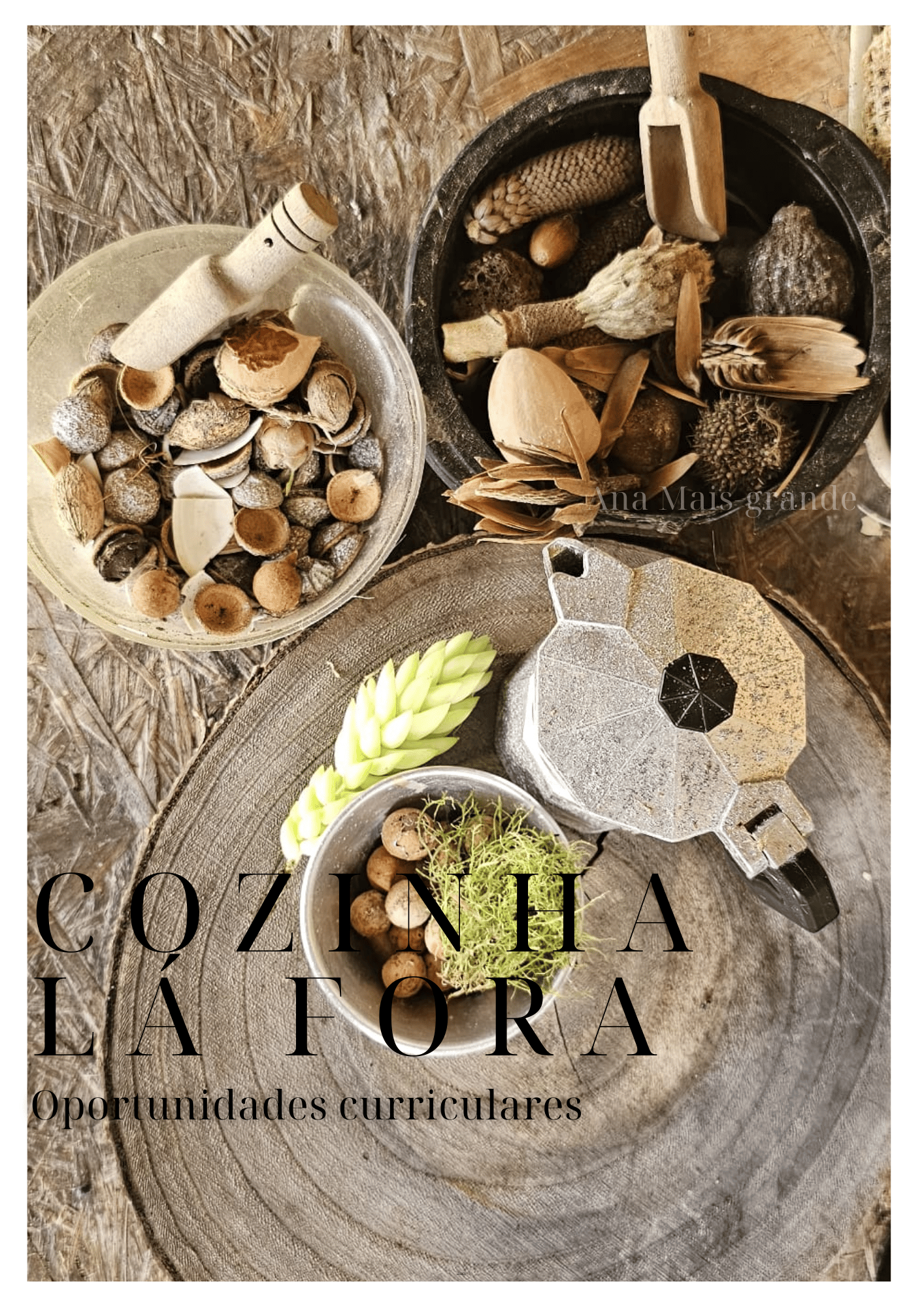E-book 9 "Cozinha lá fora: Oportunidades Curriculares"