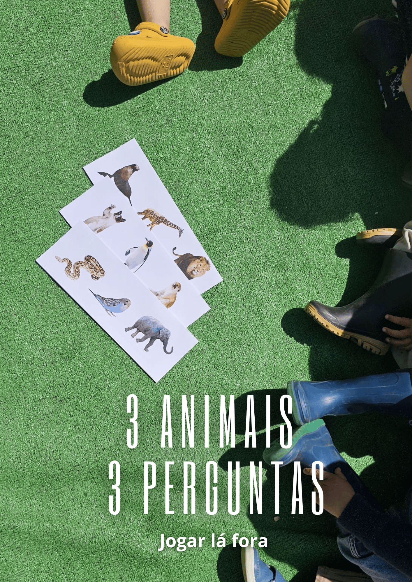 3 Animais 3 Perguntas