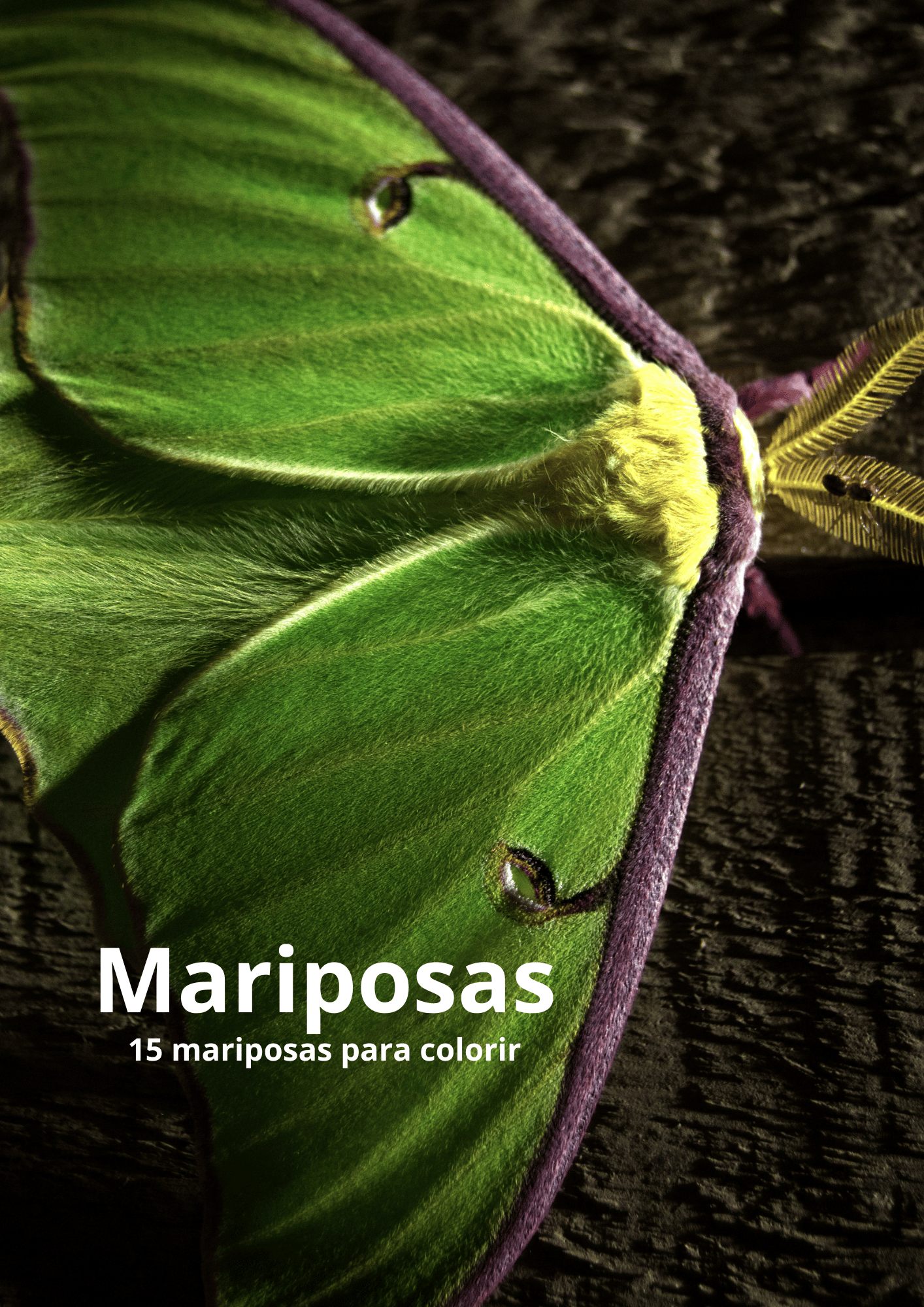 Mariposas