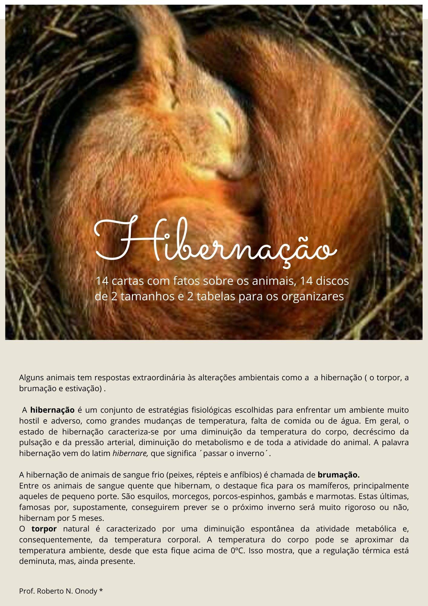 Hibernação
