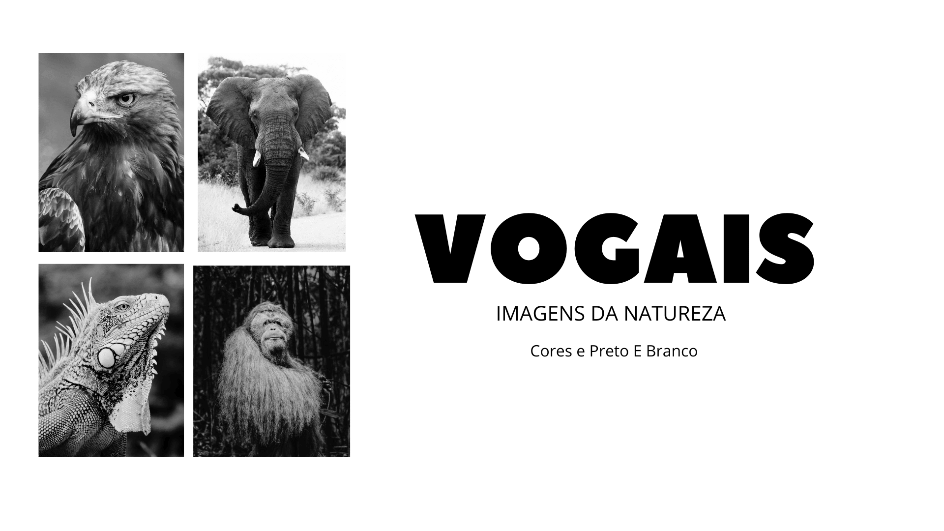 Vogais