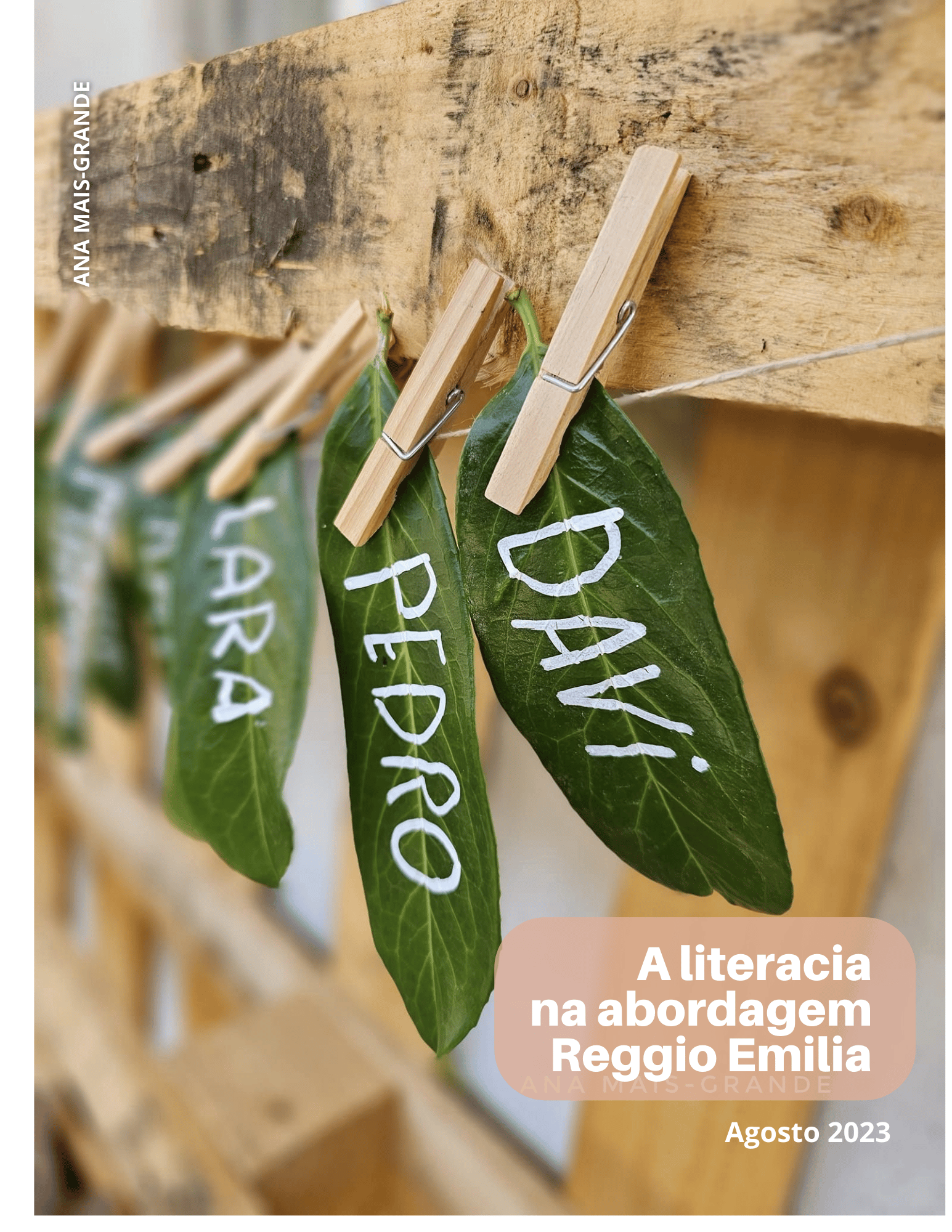 Livreto 2 "A literacia na abordagem Reggio Emilia"