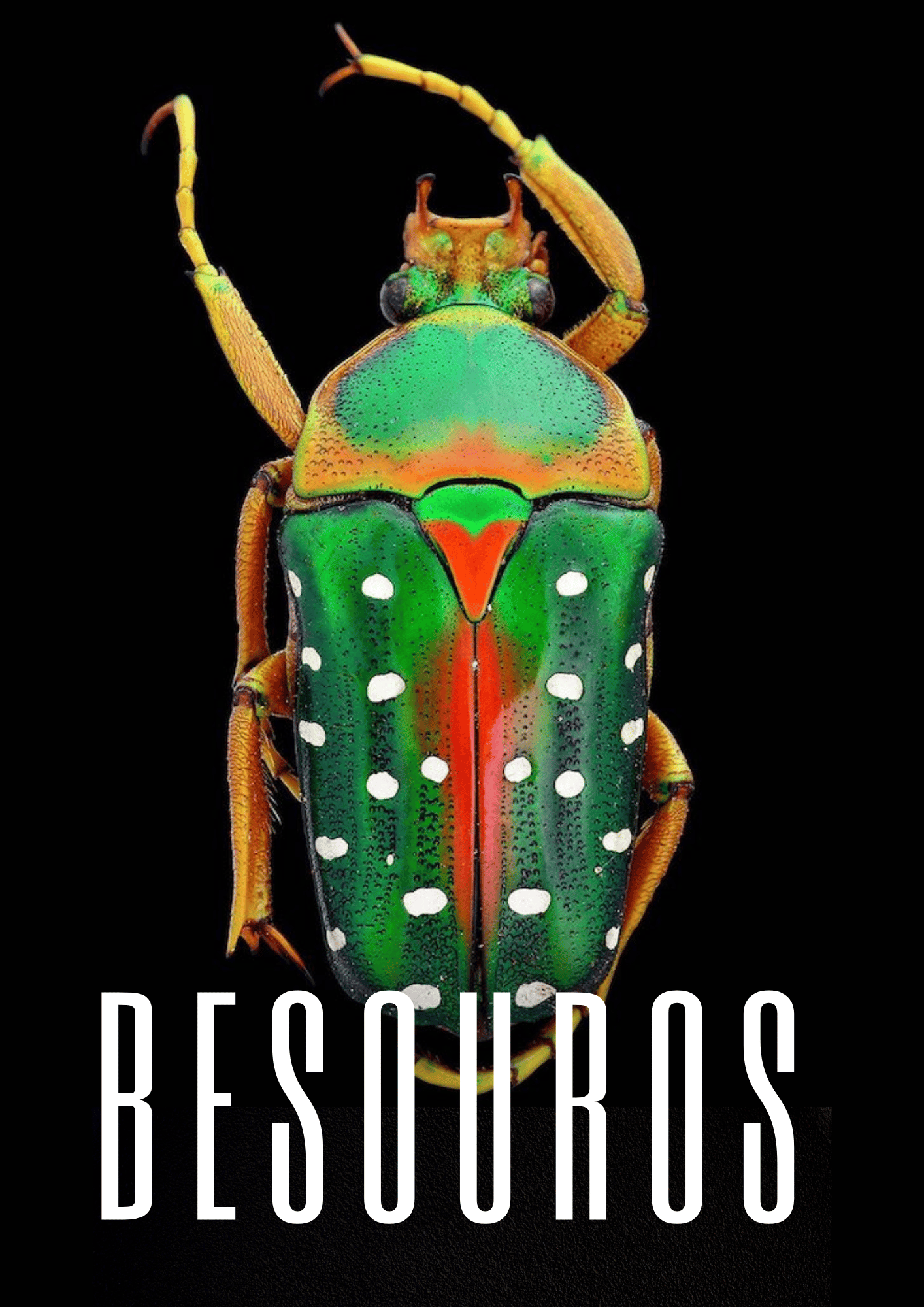 Besouros
