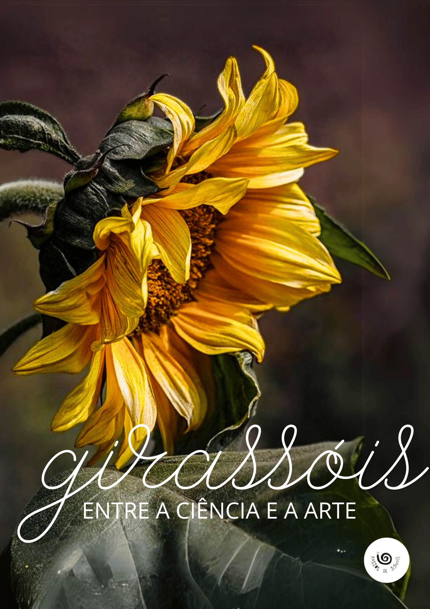 Girassóis: Entre a Ciência e a Arte