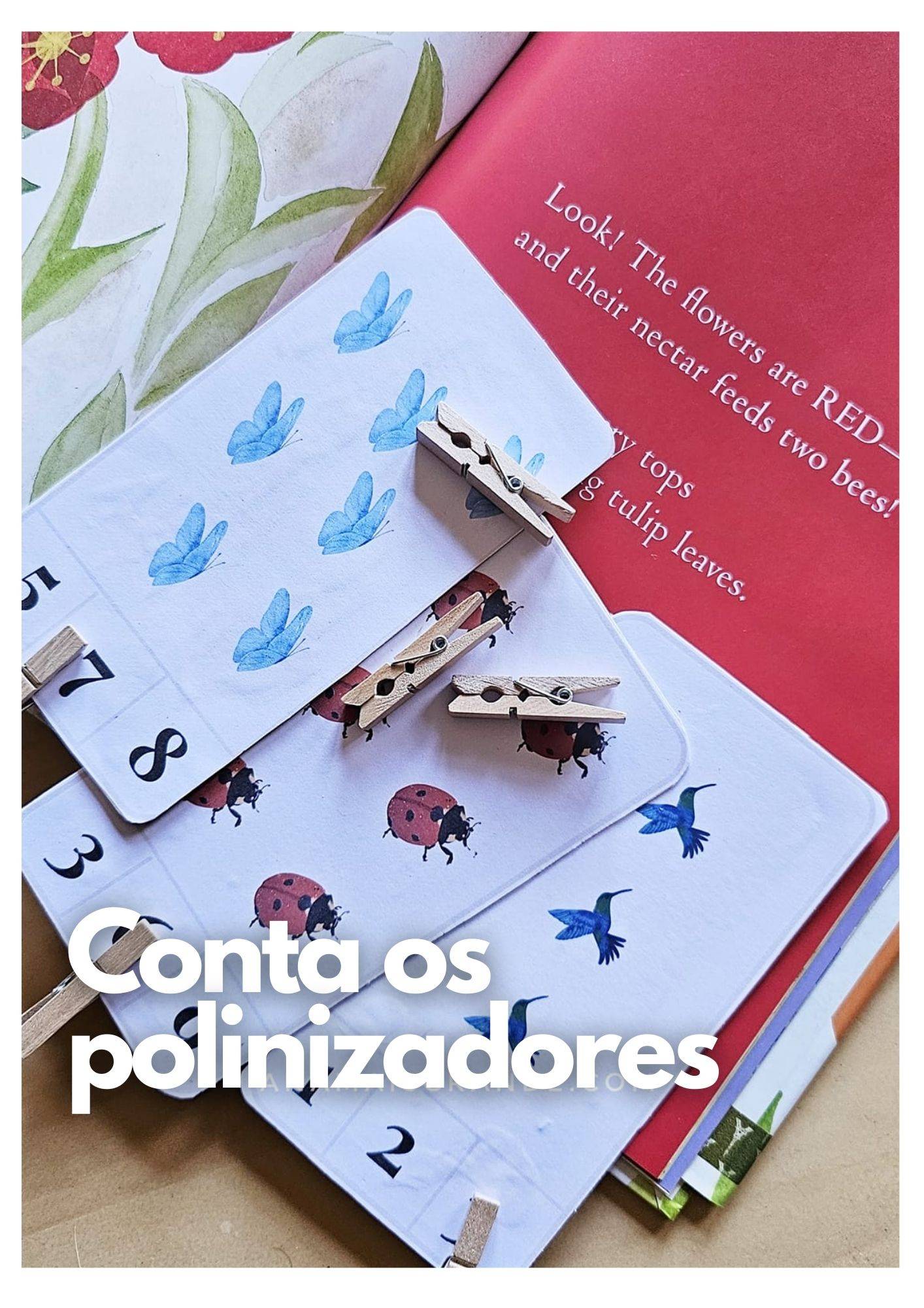 Conta os polinizadores