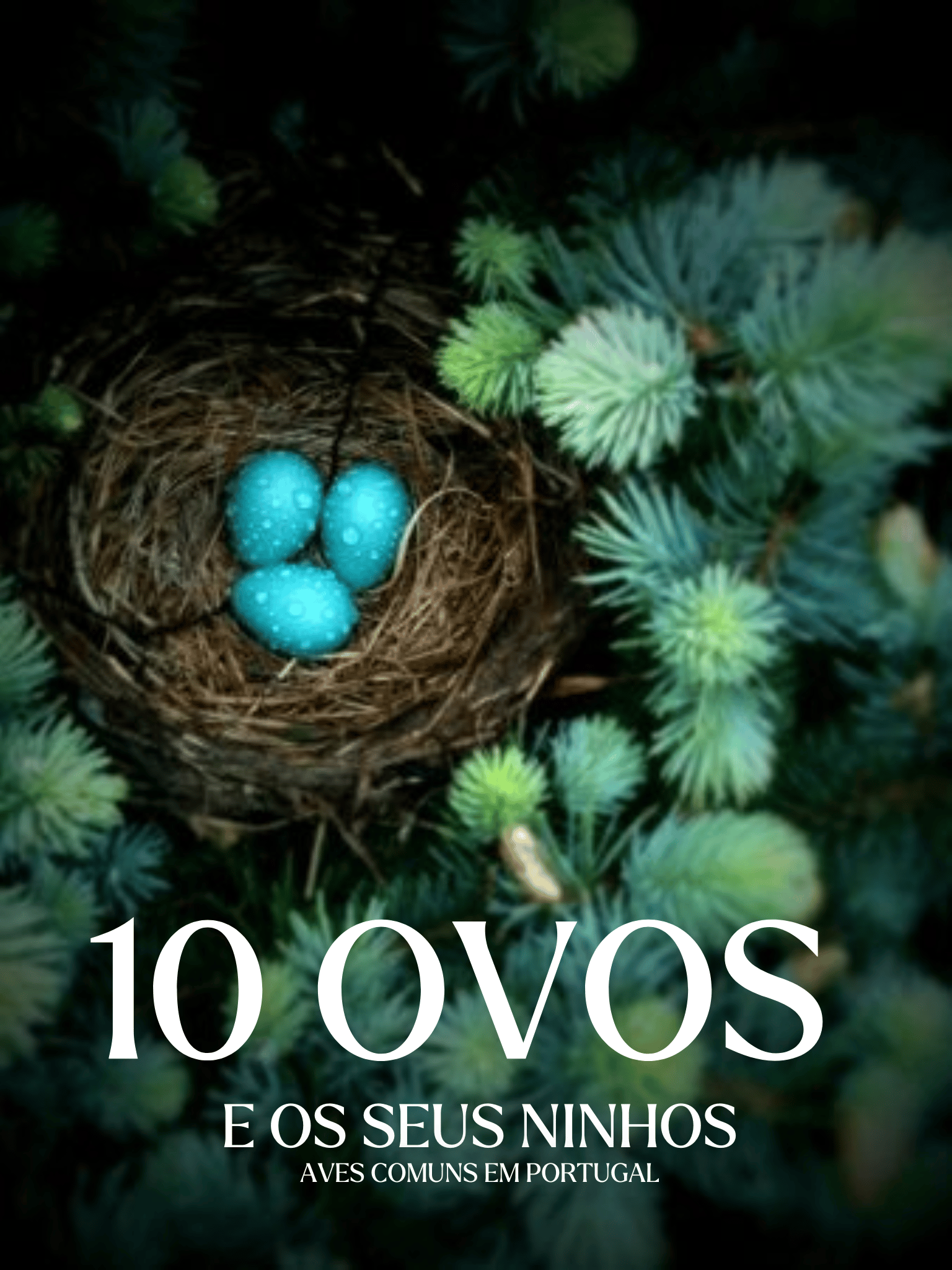 10 Ovos e os seus ninhos: Aves comuns em Portugal