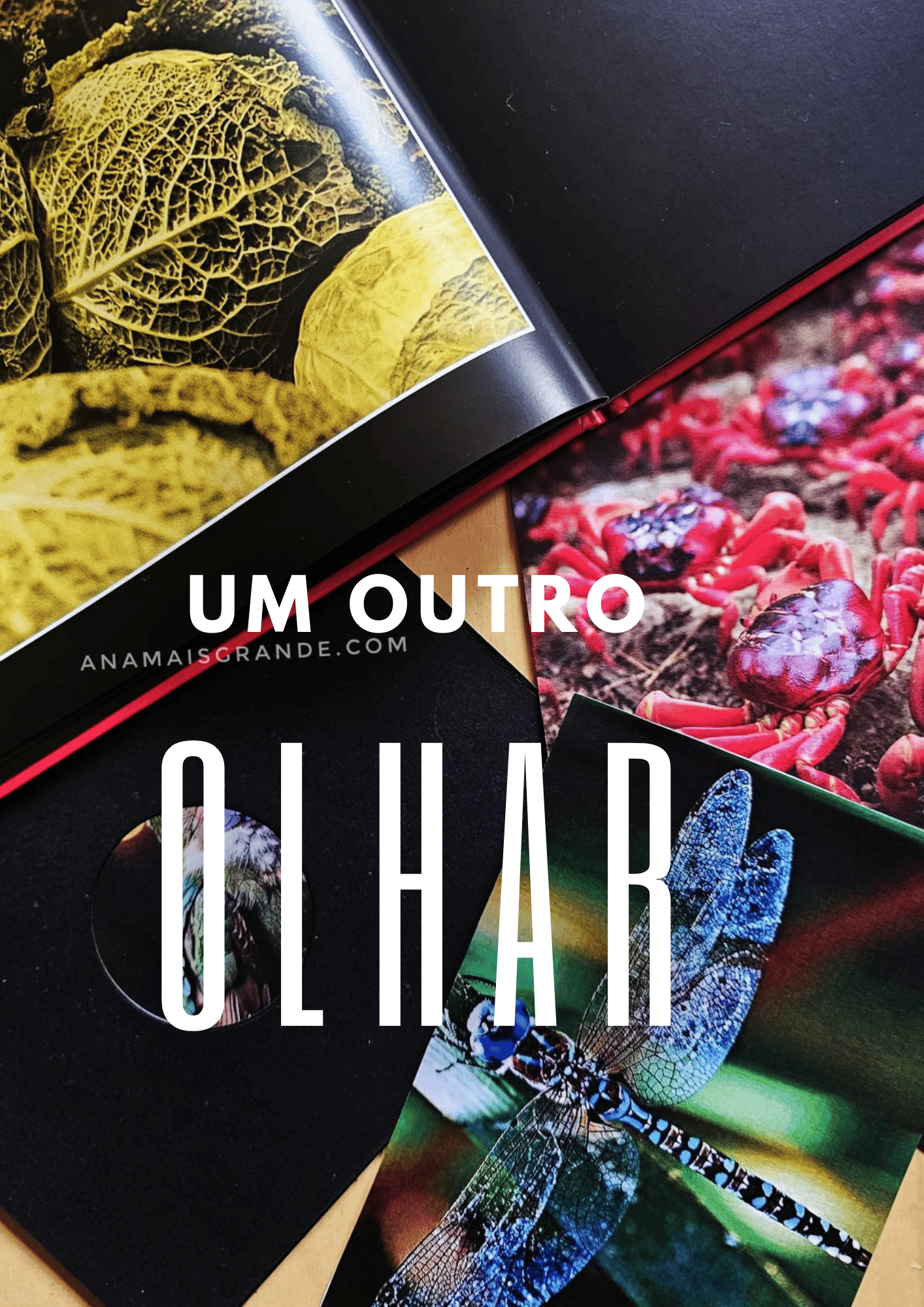 Um outro olhar