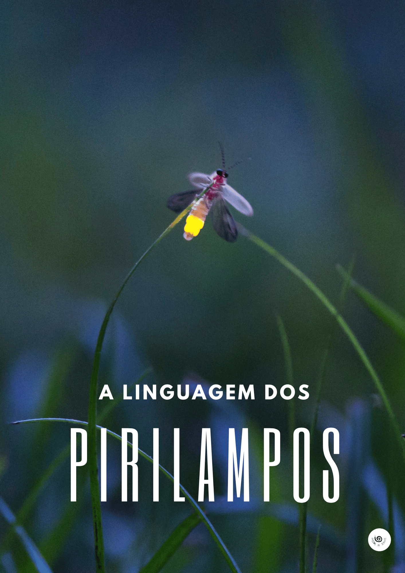 A linguagem dos pirilampos