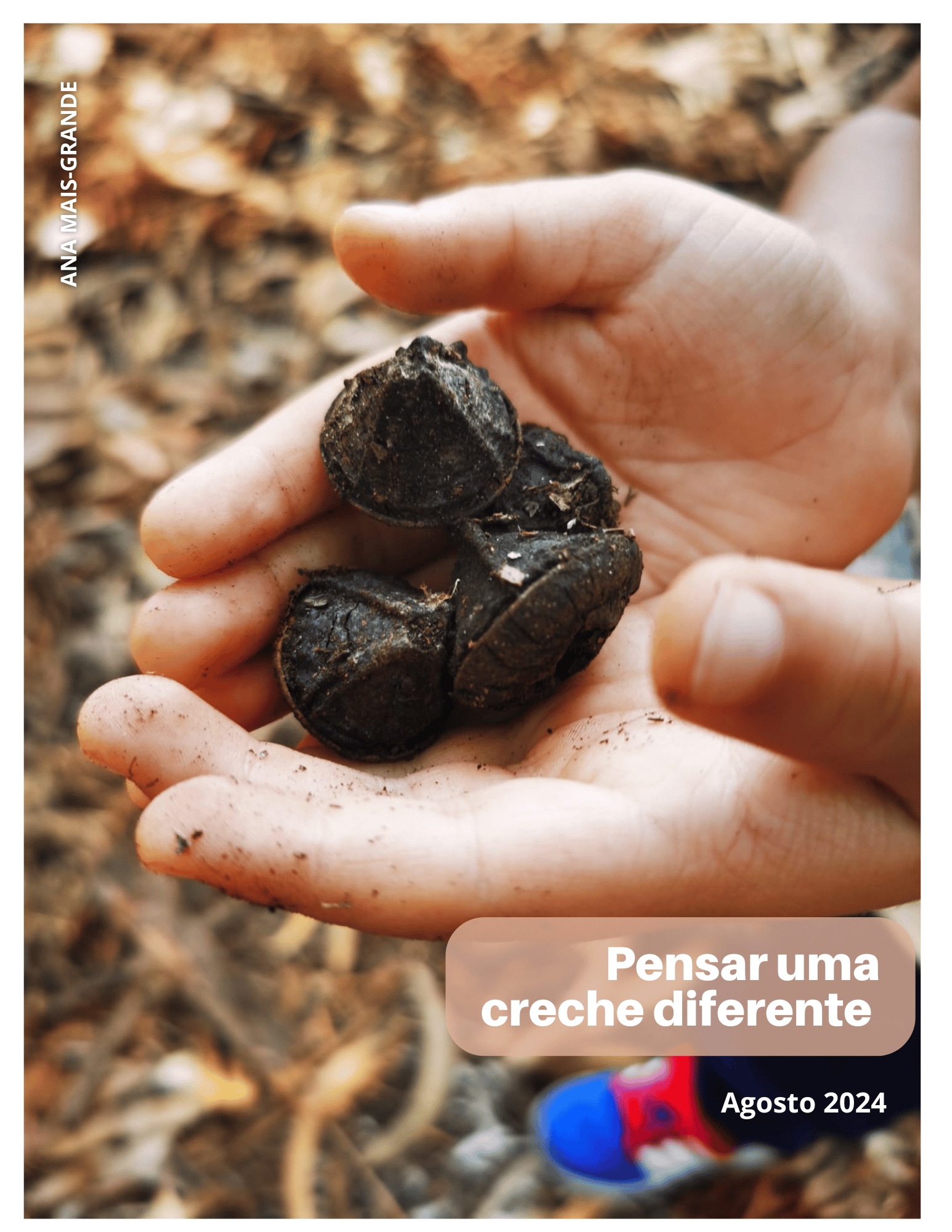 Livreto "Pensar uma creche diferente"