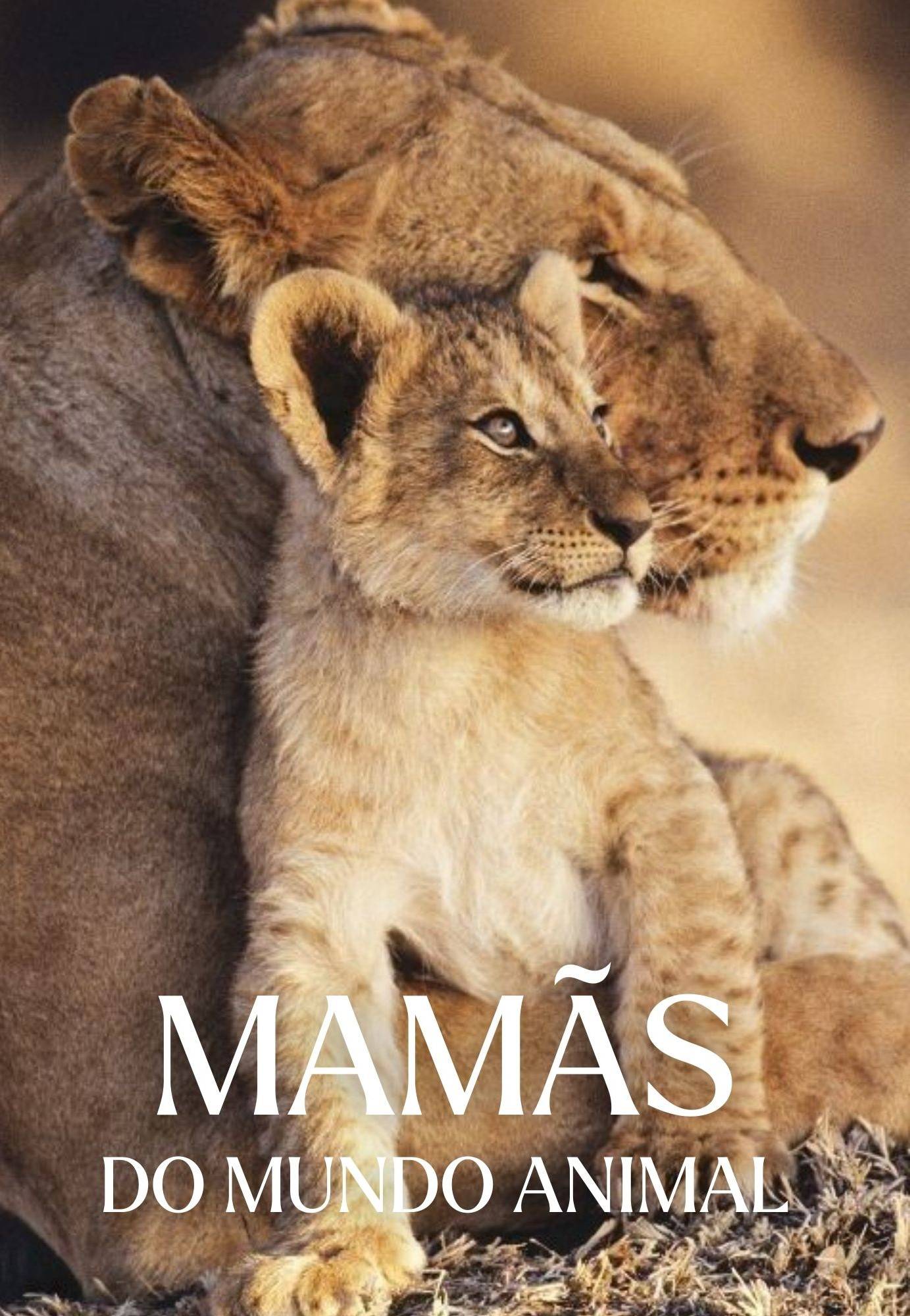 Mamãs do Mundo Animal