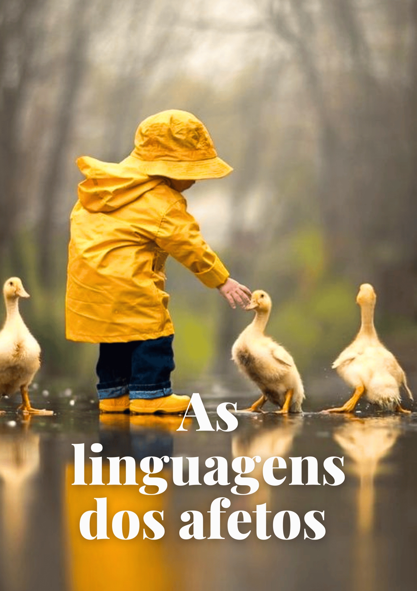 As linguagens dos afetos