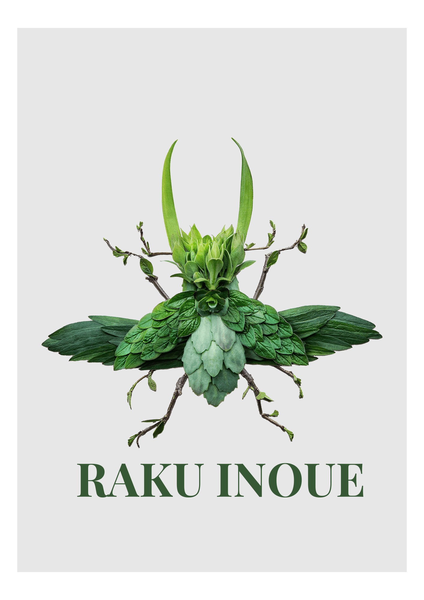 The Art Box: Raku Inoue