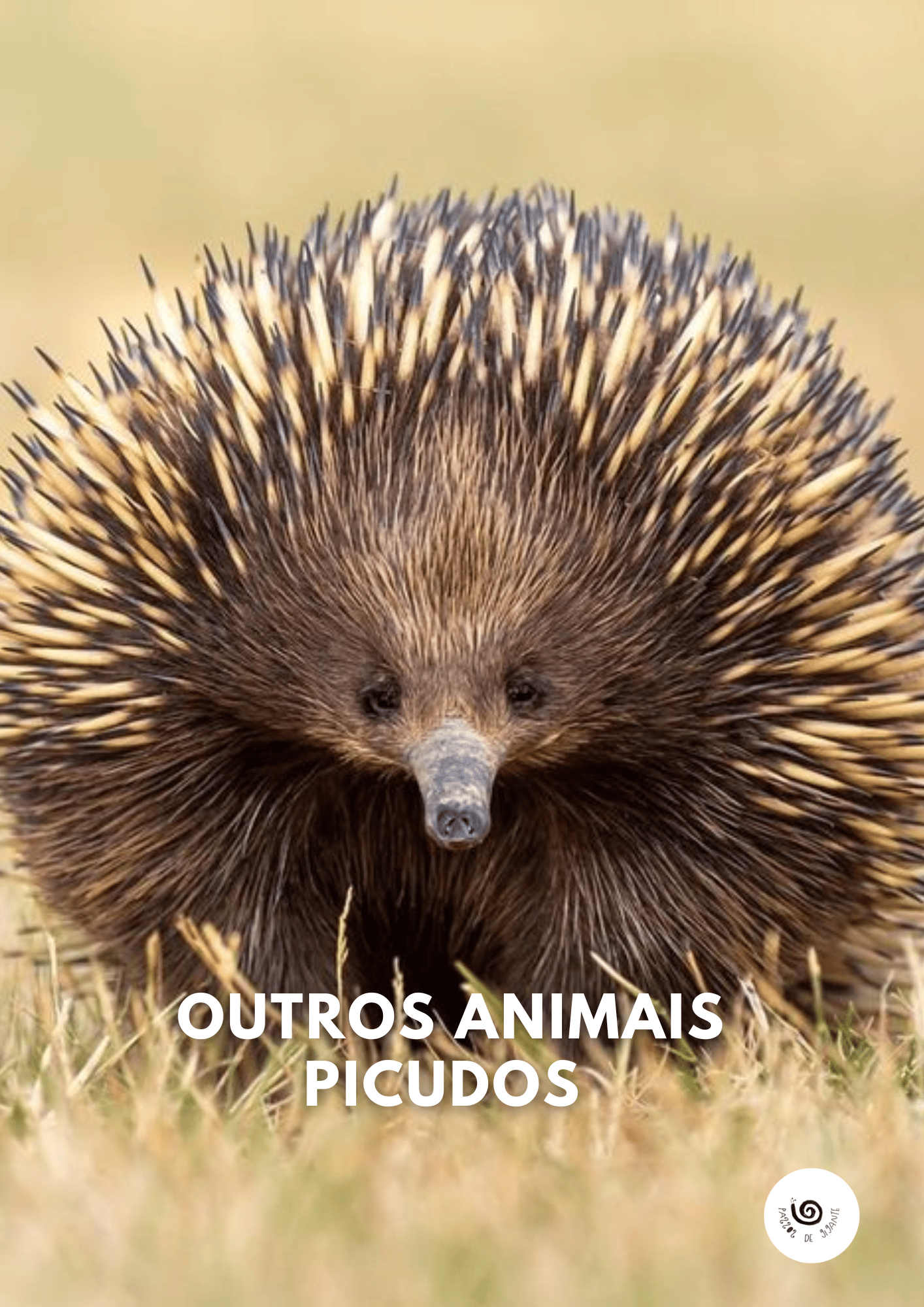 Outros Animais Picudos