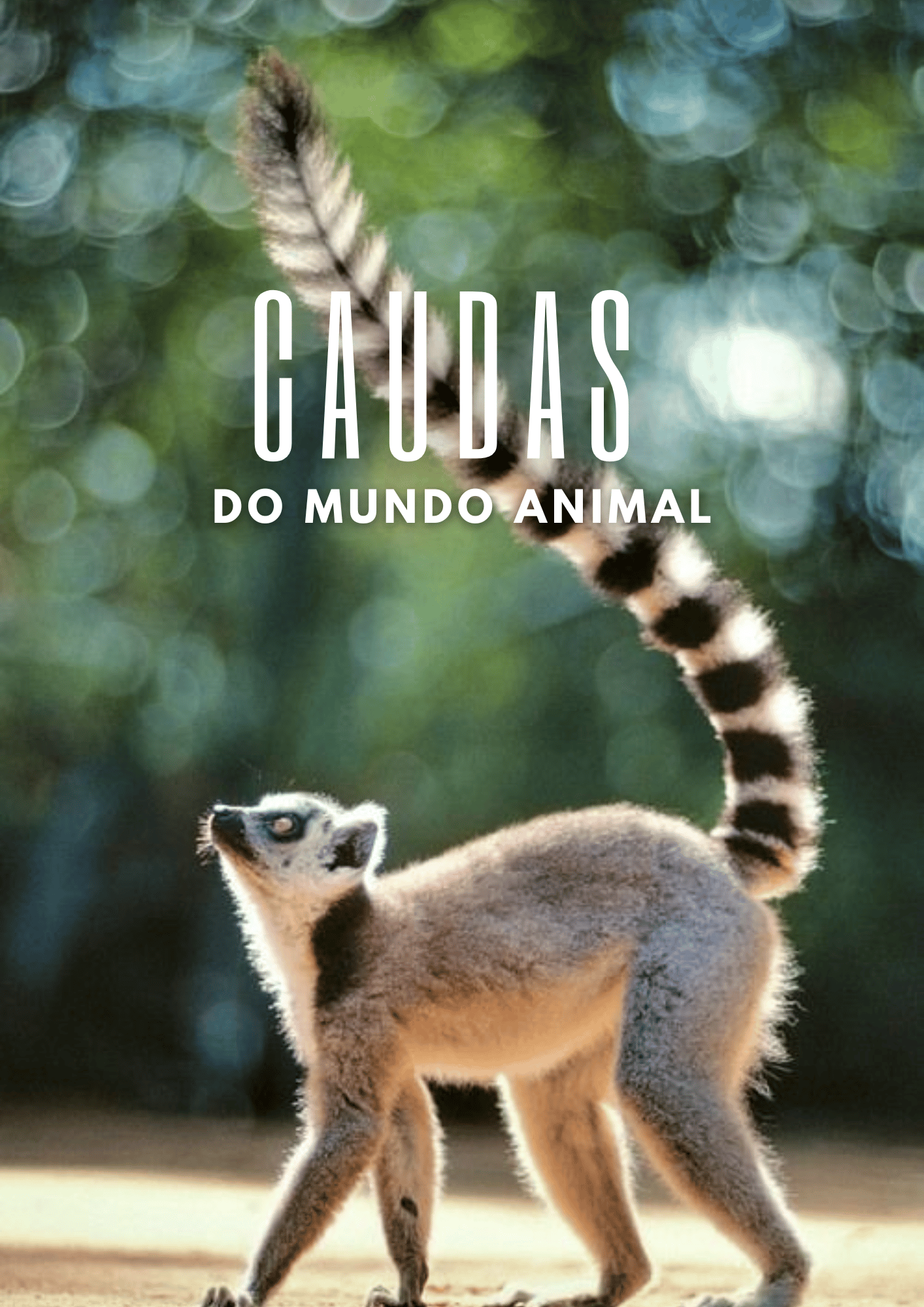 Caudas do Mundo Animal