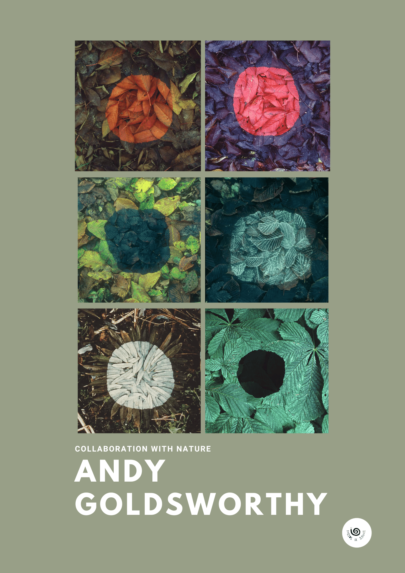Andy Goldsworthy - Land Art