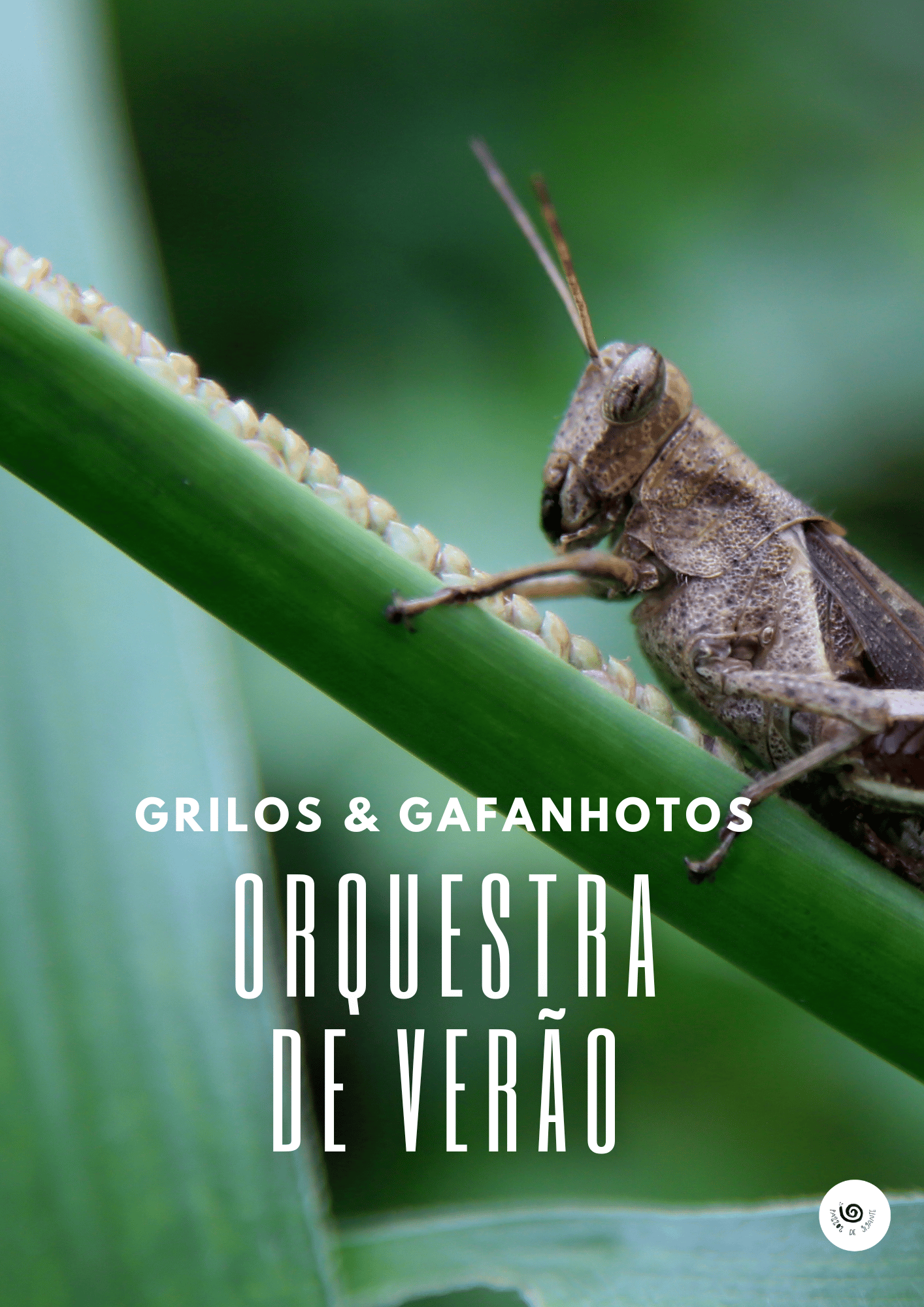 Grilos e Gafanhotos - Orquestra de Verão