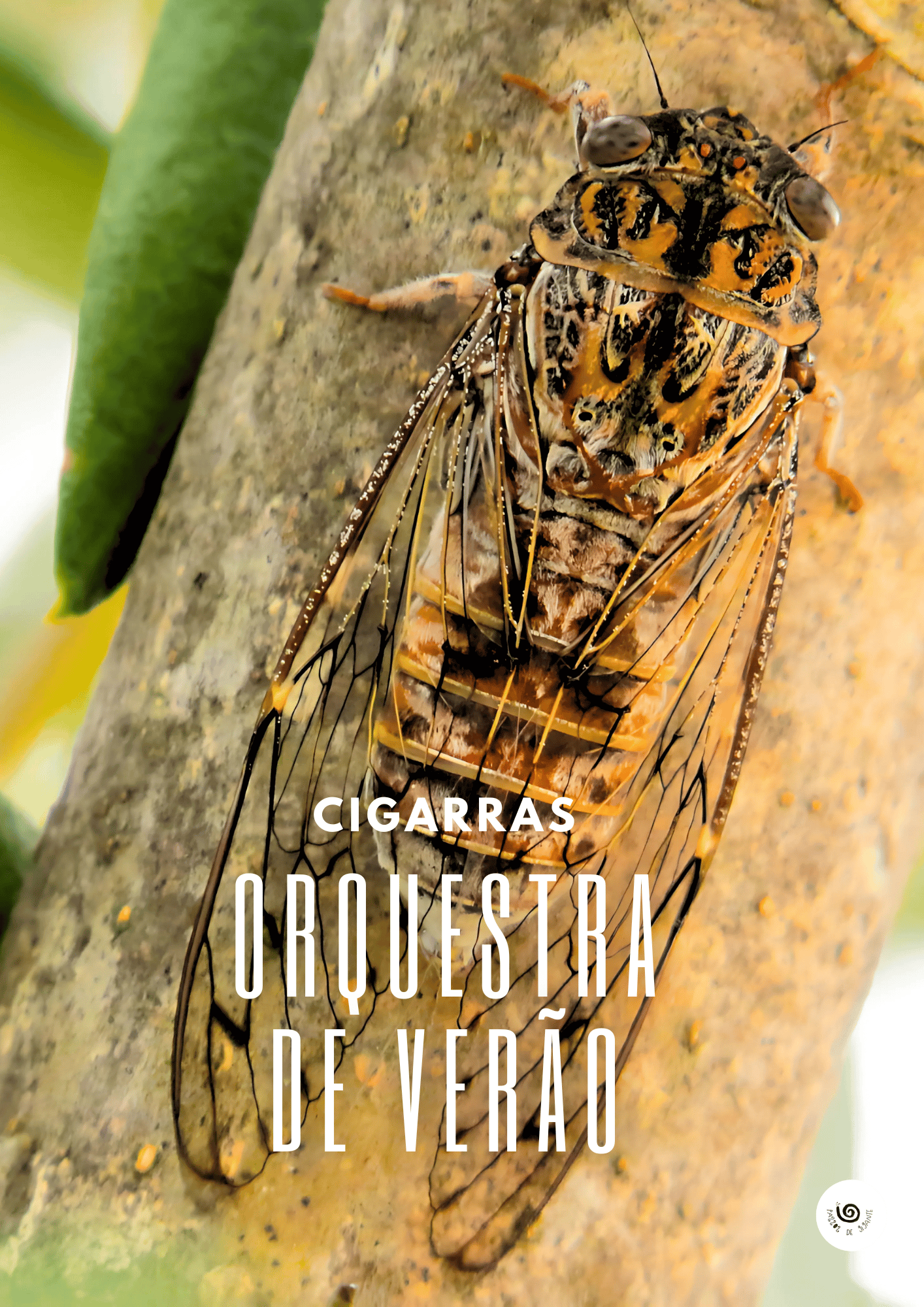 Cigarras - Orquestra de Verão