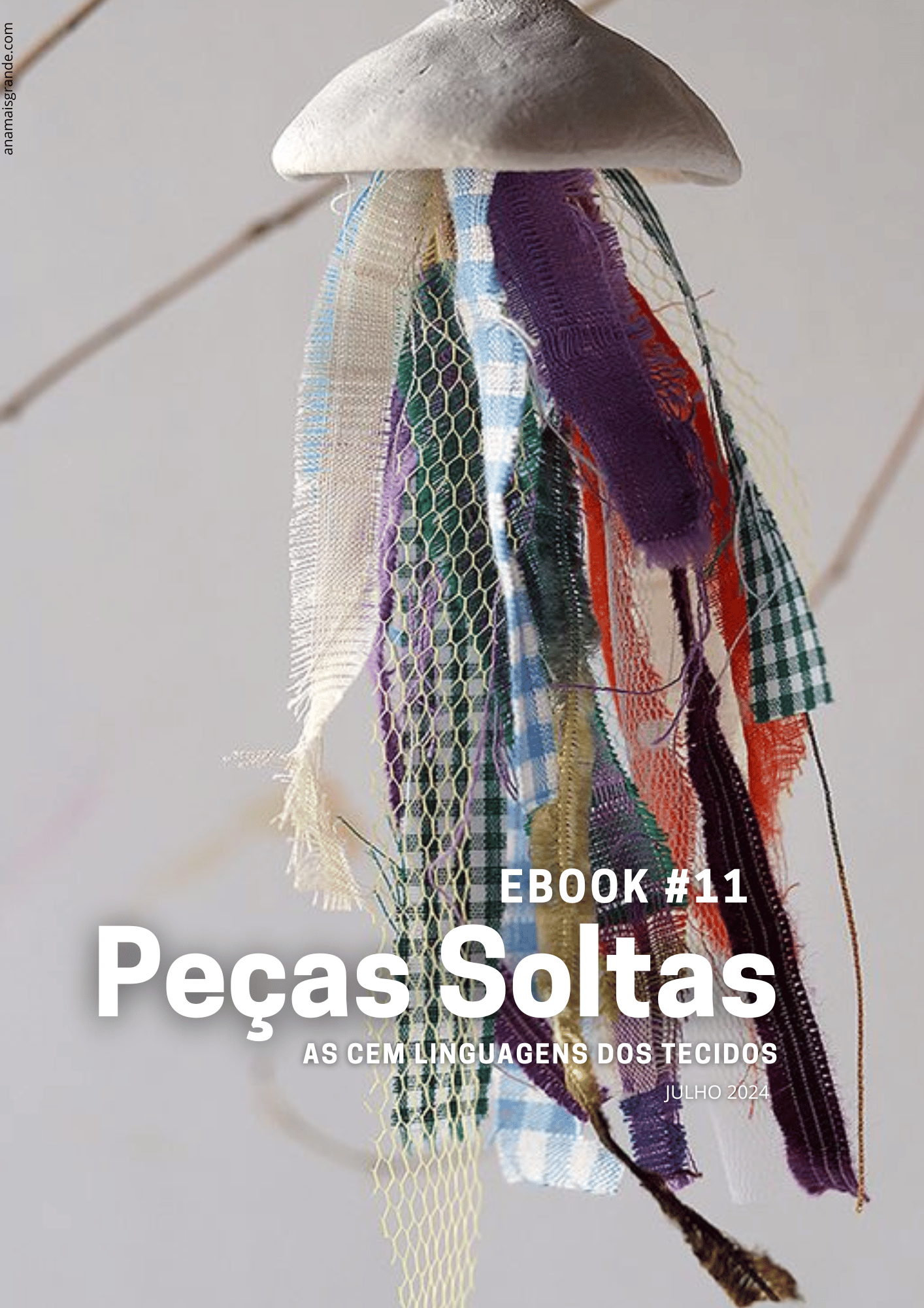 E-book 11 "As cem linguagens dos tecidos"