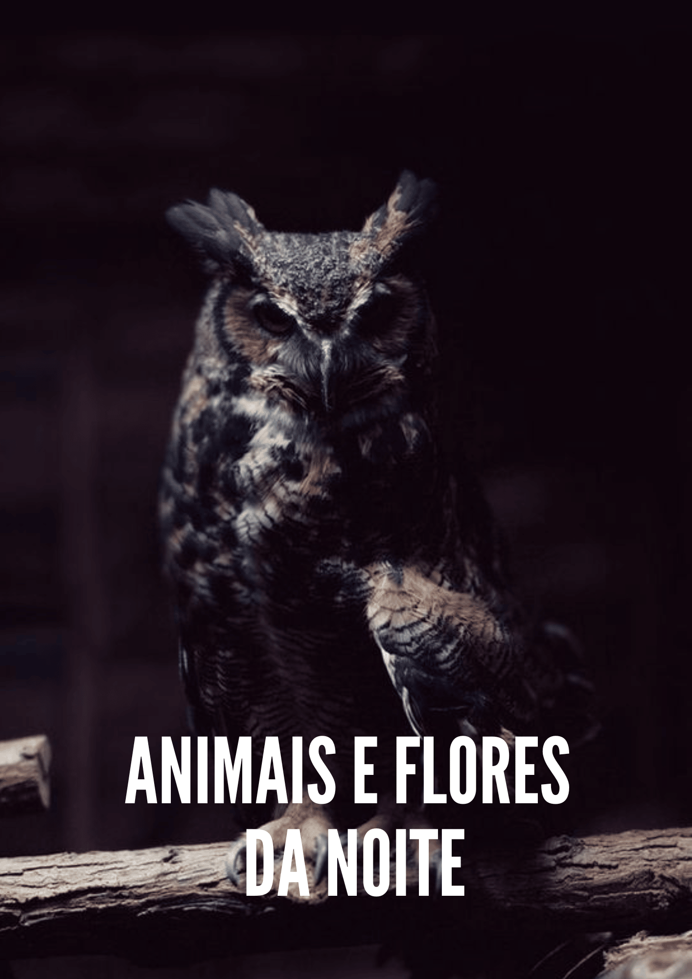 Animais e Flores da Noite