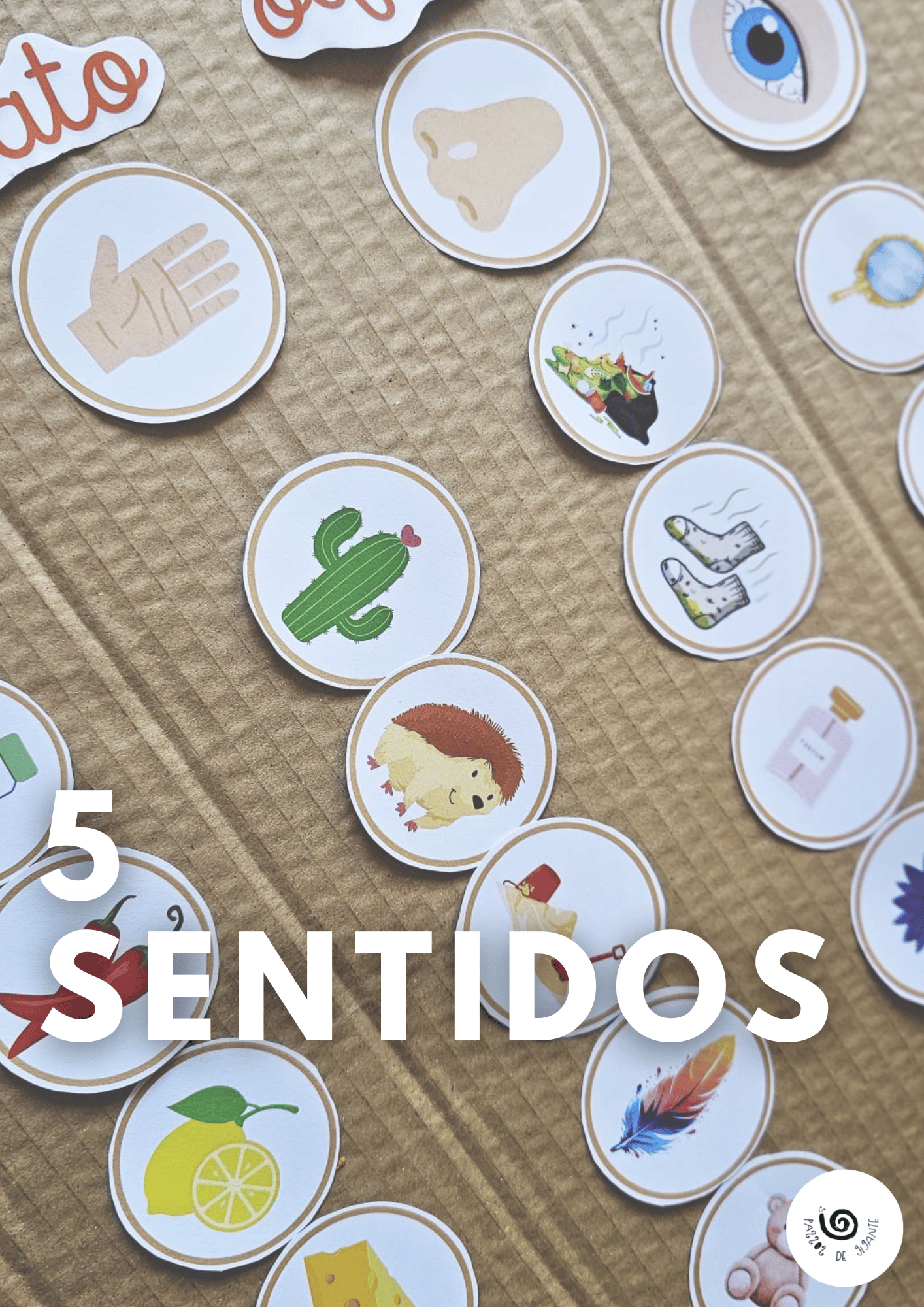 5 Sentidos
