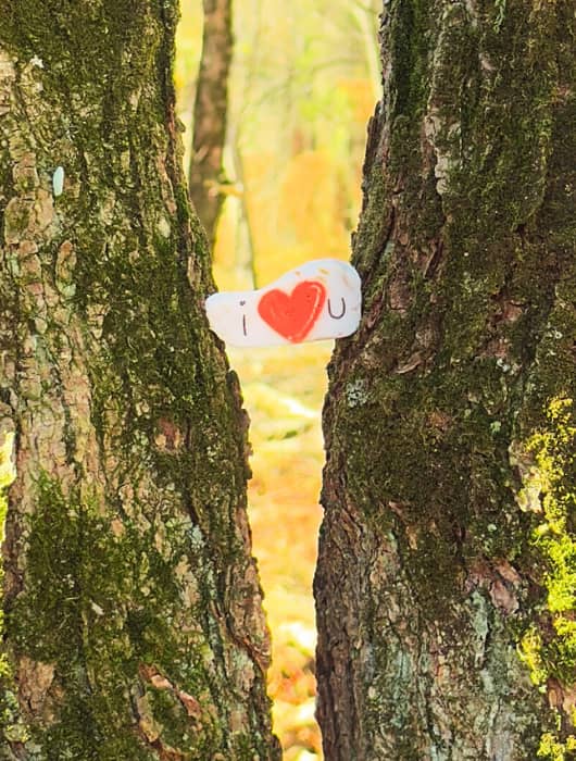 White rock wedged between two tree trunks with "i love u" written on it.