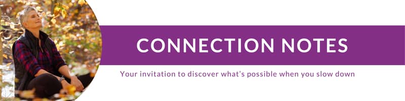 Connection Notes  in white text with purple background. Purple text underneath reads "Your invitation to discover what's possible when you slow down". Image to right is of Chris, white woman with short hair, sitting cross legged, leaning back with eyes closed and slight smile on her face. 